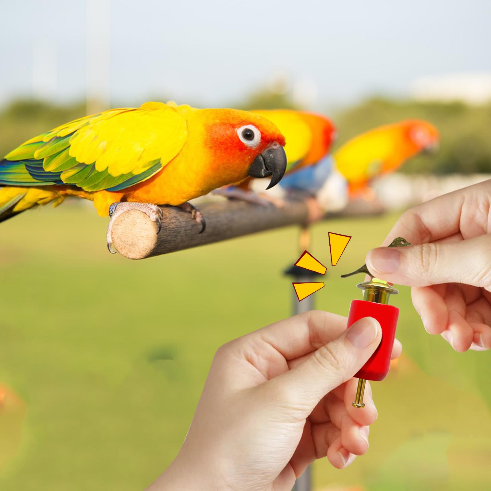 Bird Call Whistle Realistic Ho - Game Call Whistle のレビューと価格