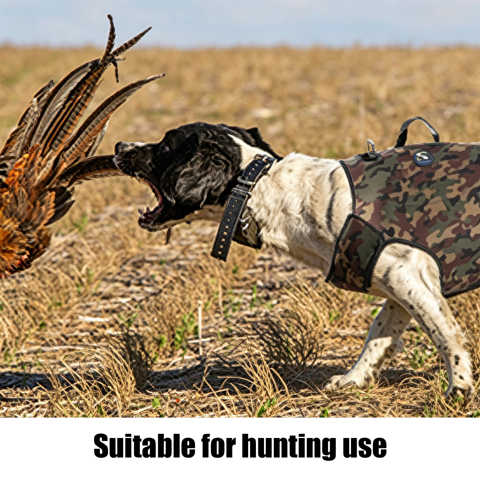 Camouflage Hunting Dog Clothes - Hunting Dog Outdoor のレビューと価格