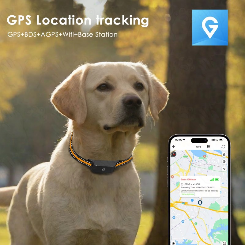 Dog GPS Tracker Outdoor Campin - Hunting Dog Outdoor のレビューと価格