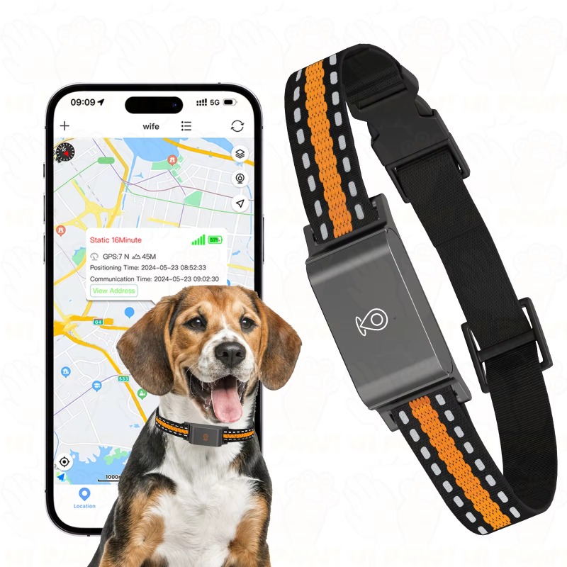Dog GPS Tracker Outdoor Campin - Hunting Dog Outdoor のレビューと価格
